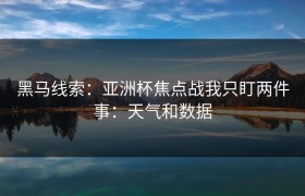 黑马线索：亚洲杯焦点战我只盯两件事：天气和数据